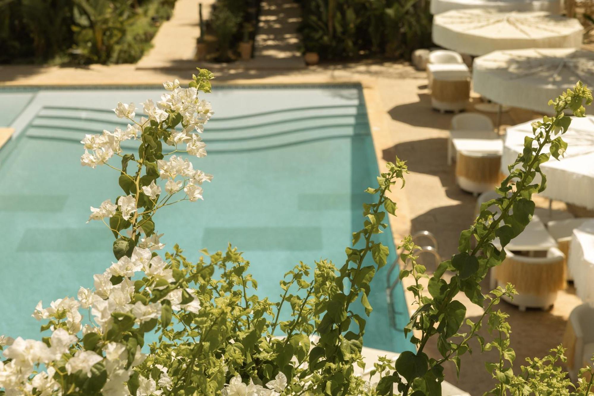 Les Palmiers Boutique Hotel & Spa مراكش المظهر الخارجي الصورة
