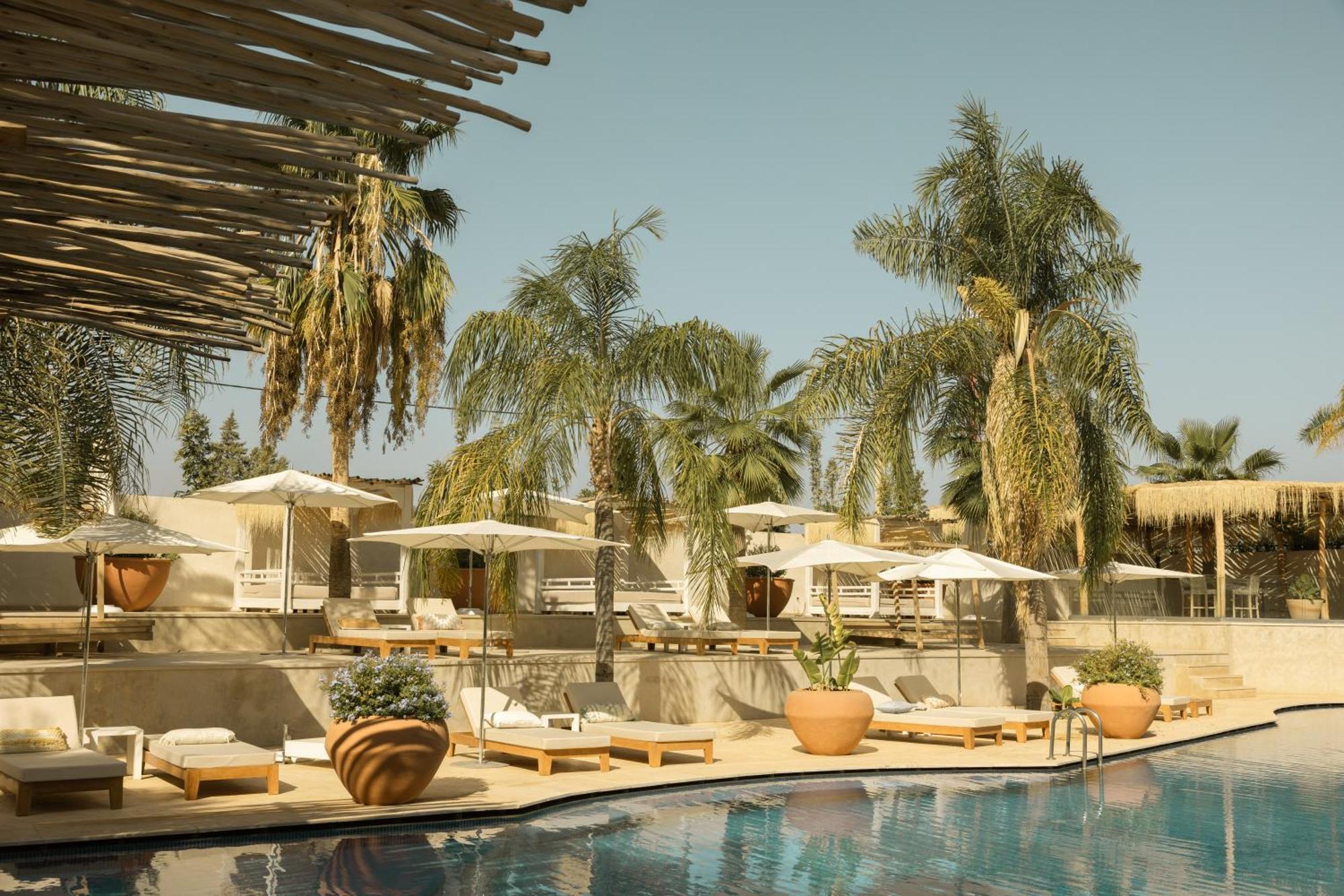 Les Palmiers Boutique Hotel & Spa مراكش المظهر الخارجي الصورة